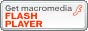 Download Free Flash Plugin